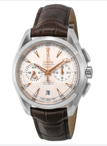 Omega Seamaster Aqua Terra Steel Men's Watch w/Brown Crocodile Leather Strap 231.13.43.52.02.001